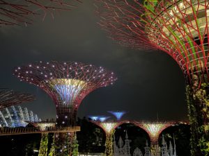 Singapore - The Avatar Trees